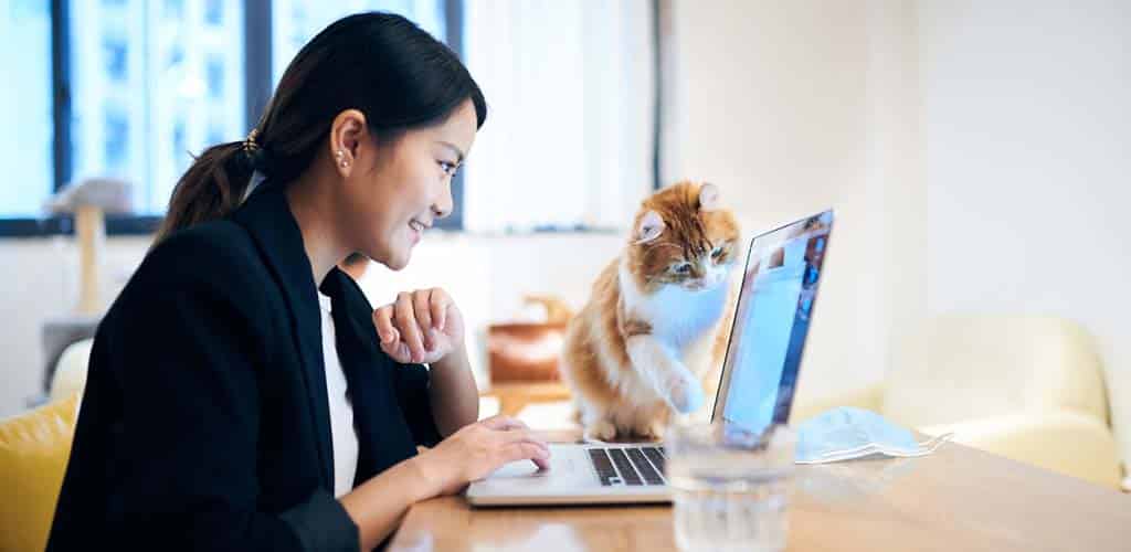 A woman in his office at home with her cat.